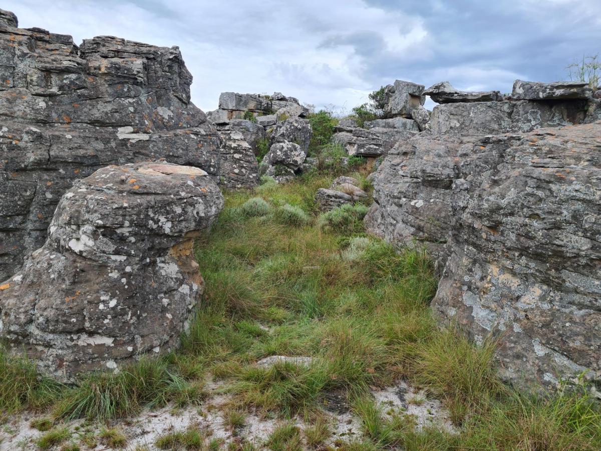 Coddiwomple Cottage Kaapsehoop Exteriör bild